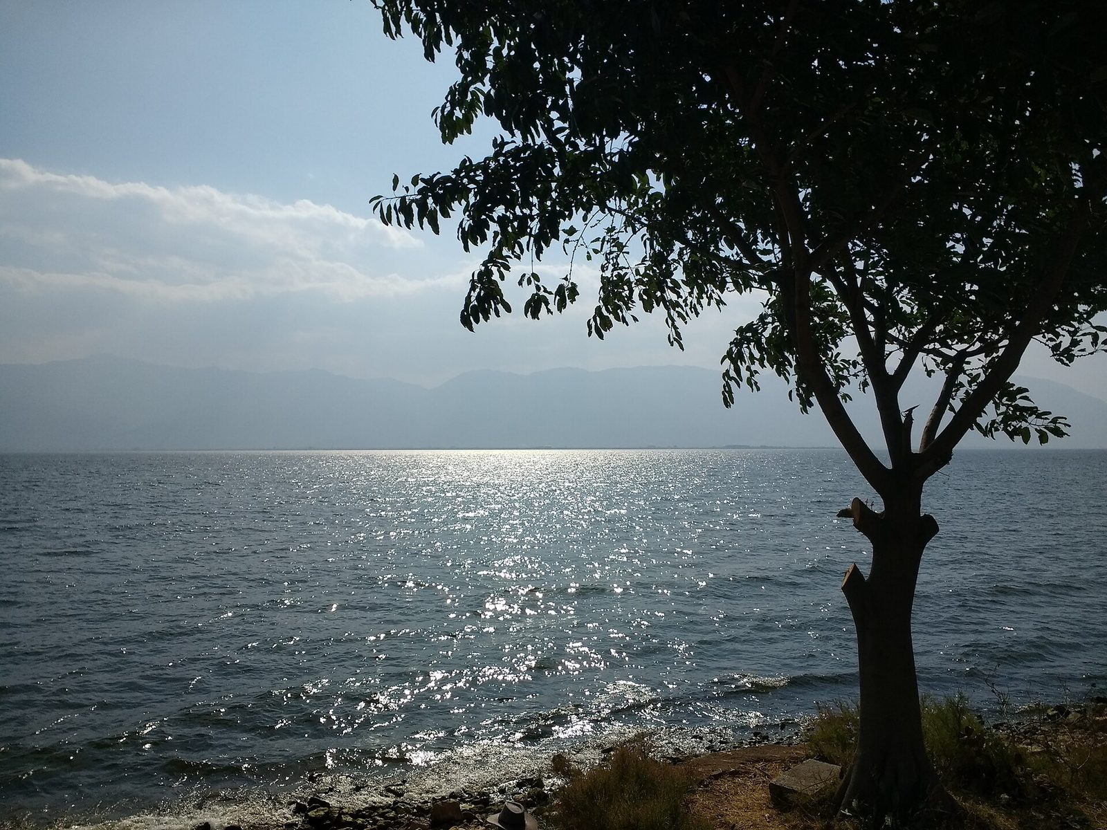 Farmland between Erhai Lake and Cangshan