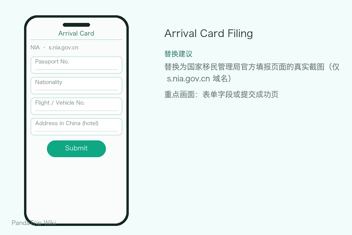 The official arrival card form on s.nia.gov.cn (illustrative)