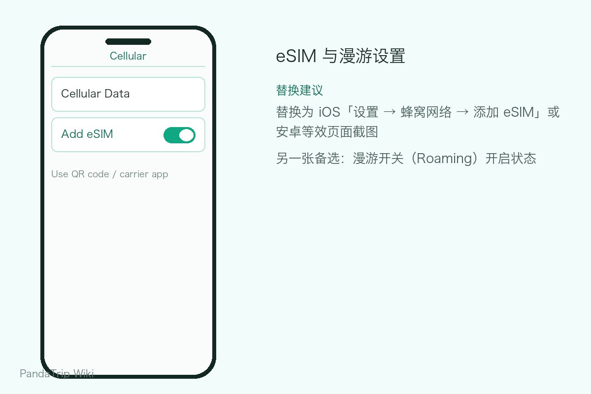 Phone eSIM settings screen
