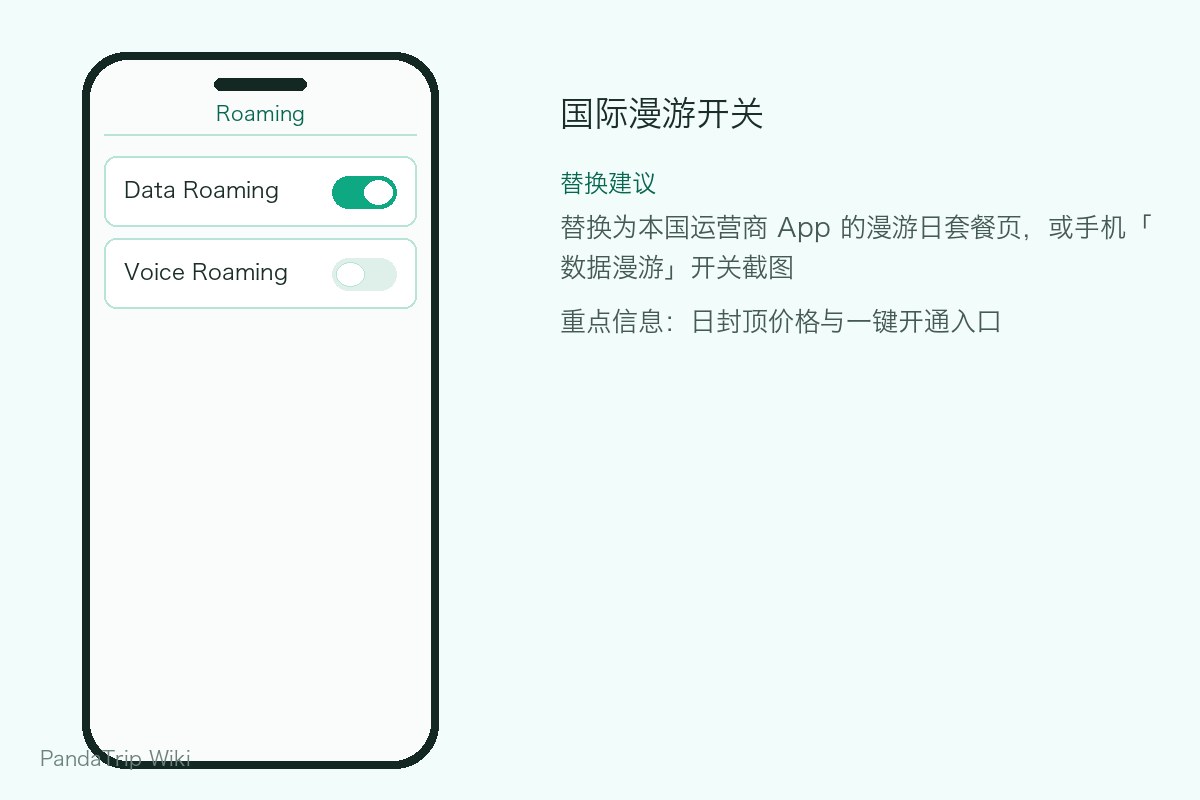 International roaming settings