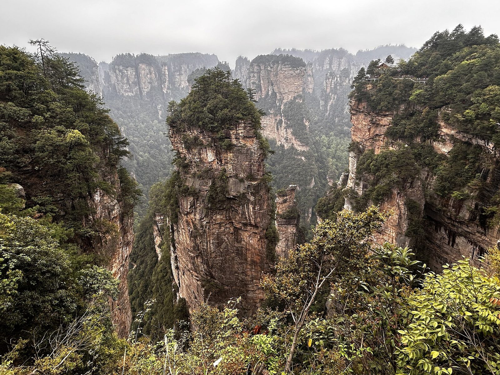 The quartzite sandstone peak forest of Wulingyuan